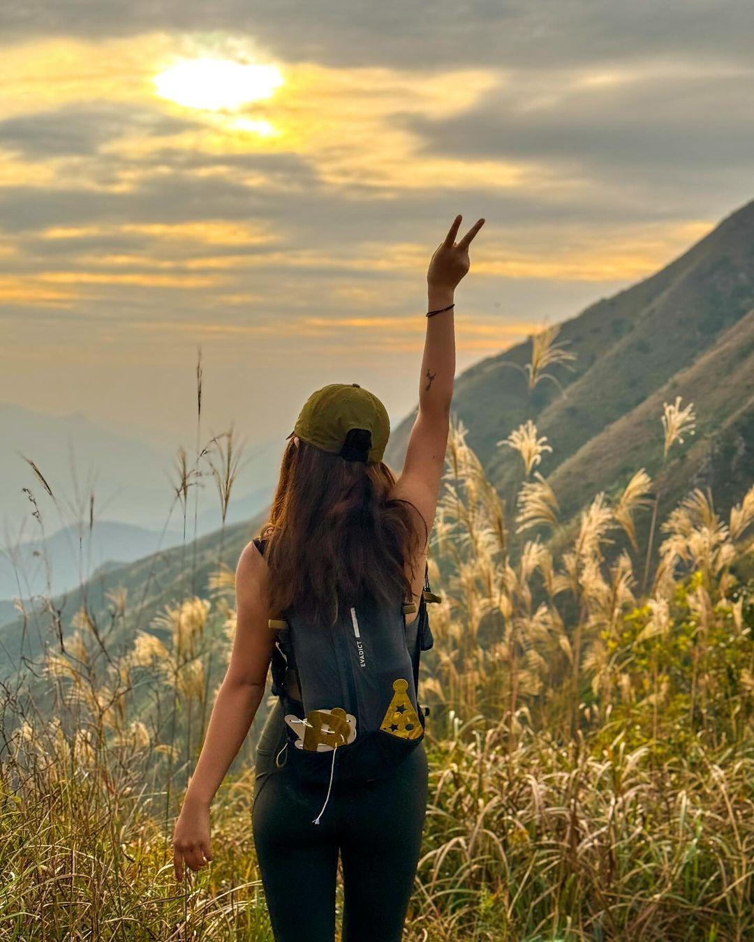 11月至12月在八仙嶺行山,有機會遇上芒草海。(網上圖片)