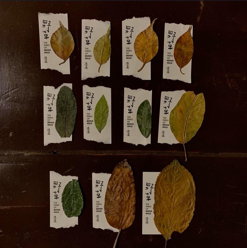 《野草》門票,可作紀錄品留念,或作書籤。