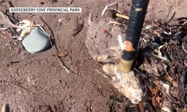 加拿大紐芬蘭(Newfoundland)海岸最近幾周出現大量白色團狀物質,用棍棒戳,可見是軟軟的。(互聯網)