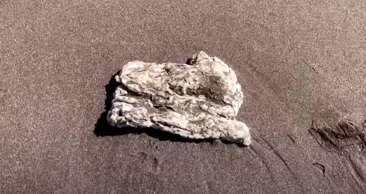 加拿大紐芬蘭(Newfoundland)海岸最近幾周出現大量白色團狀物質,布滿海灘。(互聯網)