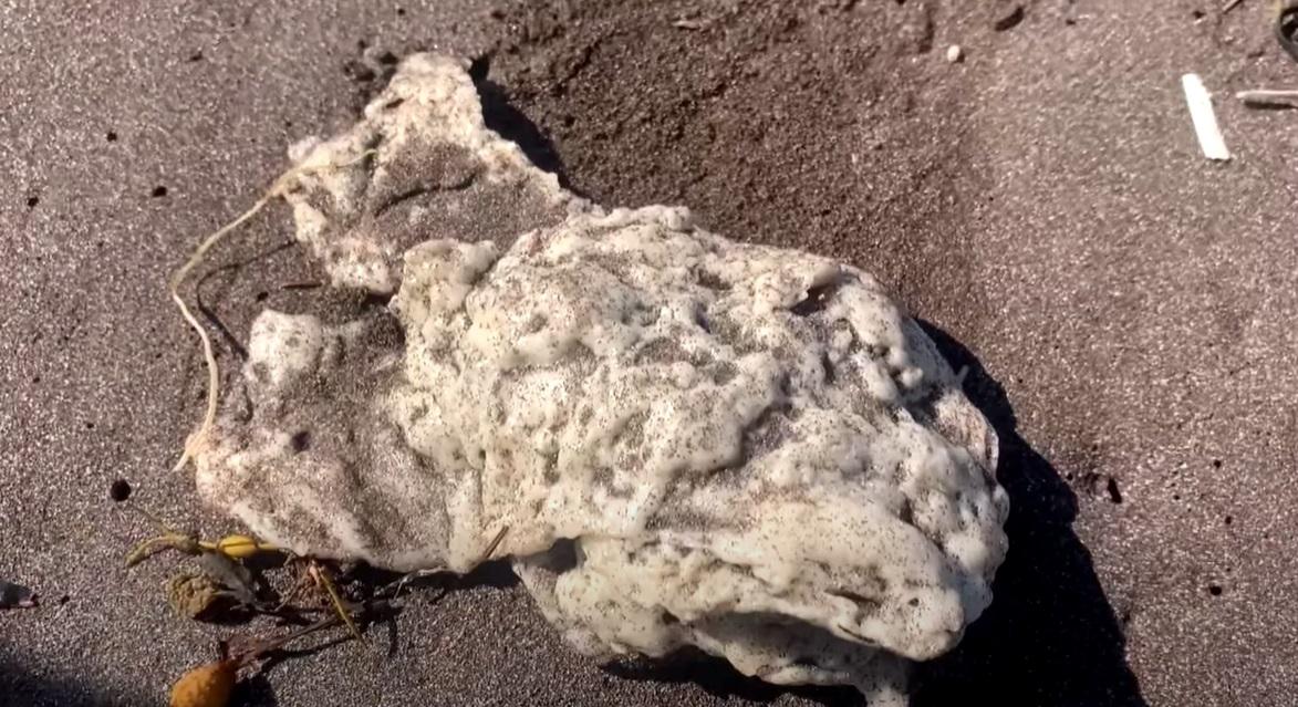 加拿大紐芬蘭(Newfoundland)海岸最近幾周出現大量白色團狀物質。(互聯網)