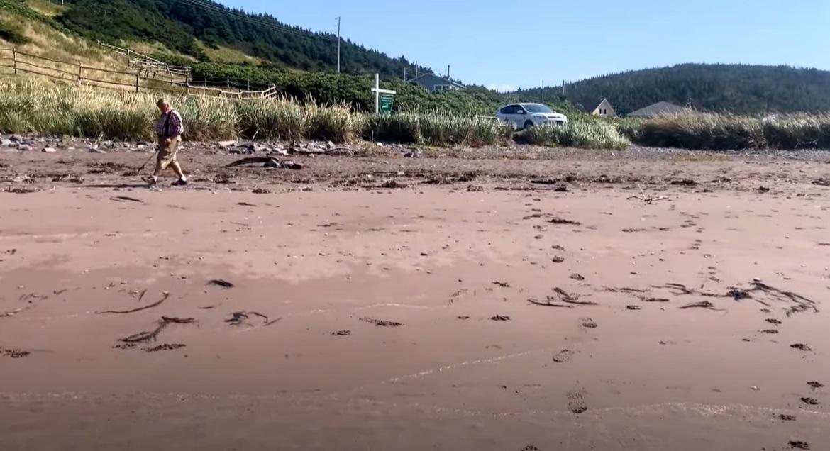 加拿大紐芬蘭(Newfoundland)海岸最近幾周出現大量白色團狀物質。(互聯網)