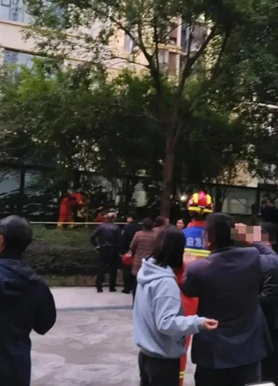 四川5歲童墮化糞池,令拯救他的爺爺意外過身。(微博圖片)