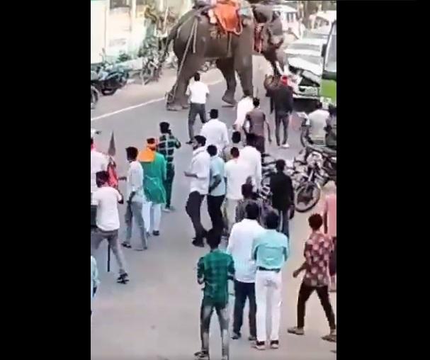 大象再次猛撞私家車,試圖將其翻轉。(互聯網)