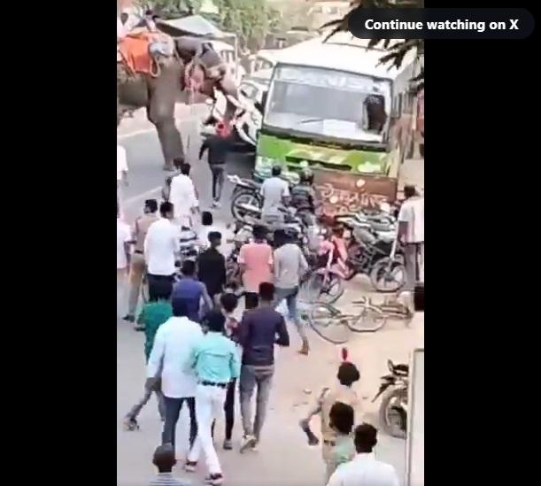 私家車被大象翻起。(互聯網)