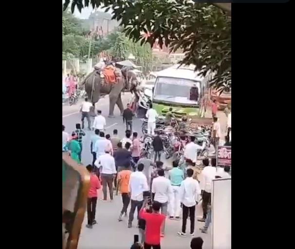 大象再撞私家車。(互聯網)