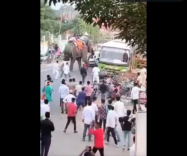 大象再撞私家車。(互聯網)