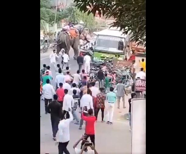 大象猛撞私家車,試圖將其翻轉。(互聯網)