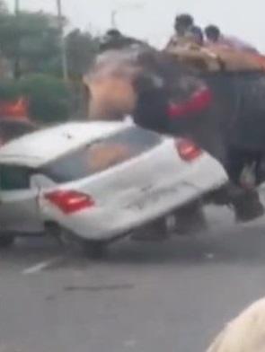 大象猛撞私家車,圖將其掀翻。(互聯網)