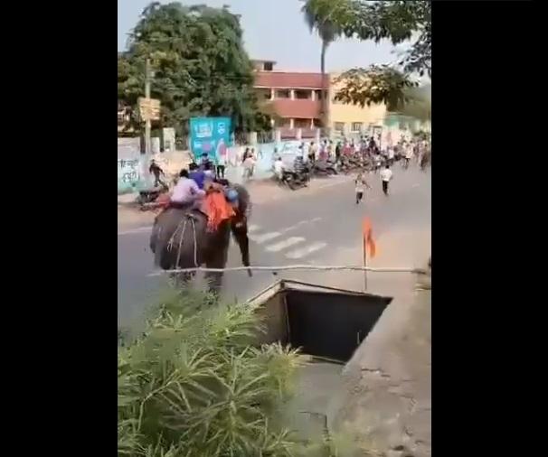 大象失控狂奔。(互聯網)