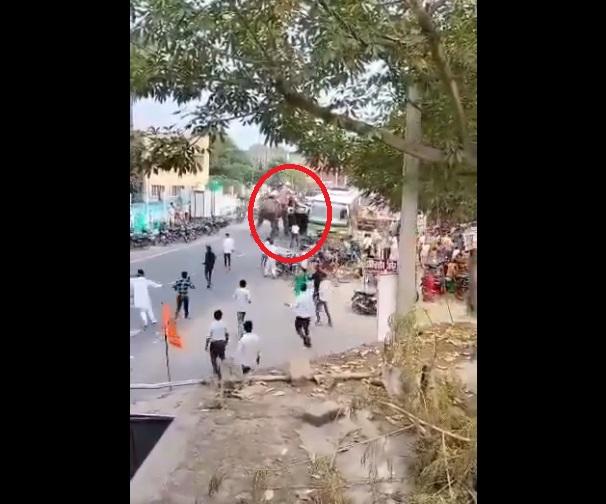 大象攻擊一輛私家車,試圖將其翻轉。(互聯網)