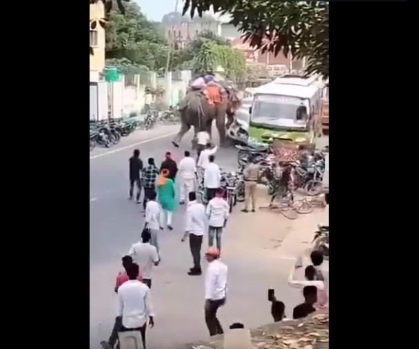 大象猛撞私家車,試圖將其翻轉,車頭損毀。(互聯網)