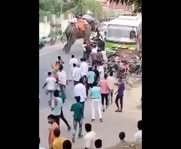 大象再次猛撞私家車,試圖將其翻轉。(互聯網)