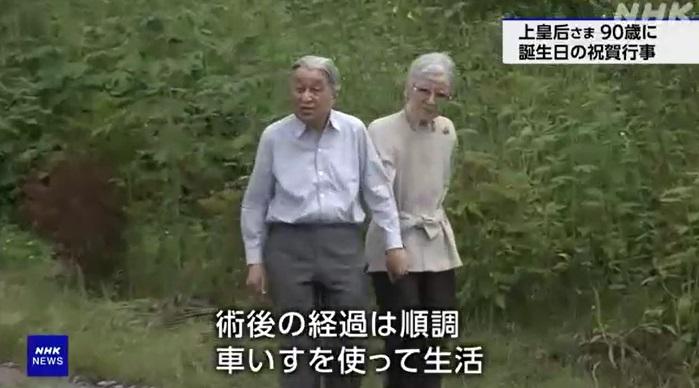 日本上皇明仁與上皇后美智子早前在戶外牽手散步。(互聯網)