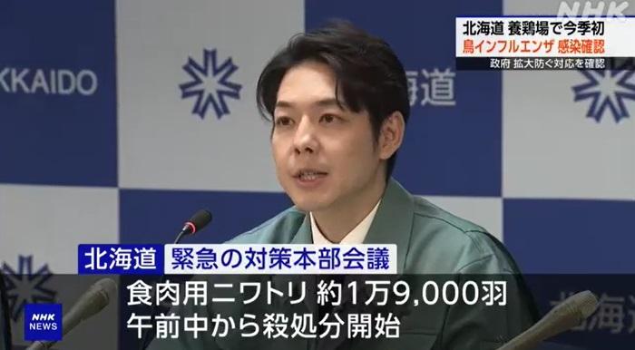 北海道知事鈴木直道周四公布禽流感疫情相關資訊。(互聯網)