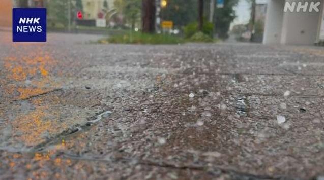 日本北海道札幌周日降初雪,地面可見冰粒。(互聯網)