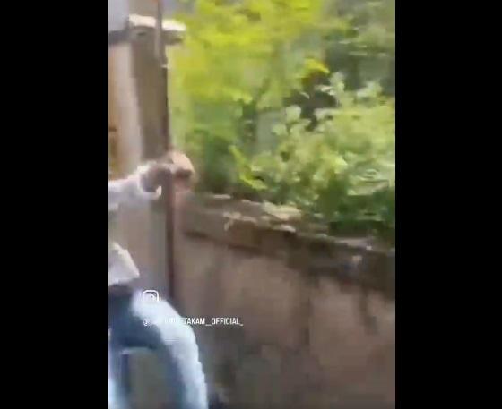 少年撞柱,跌出火車。(互聯網)