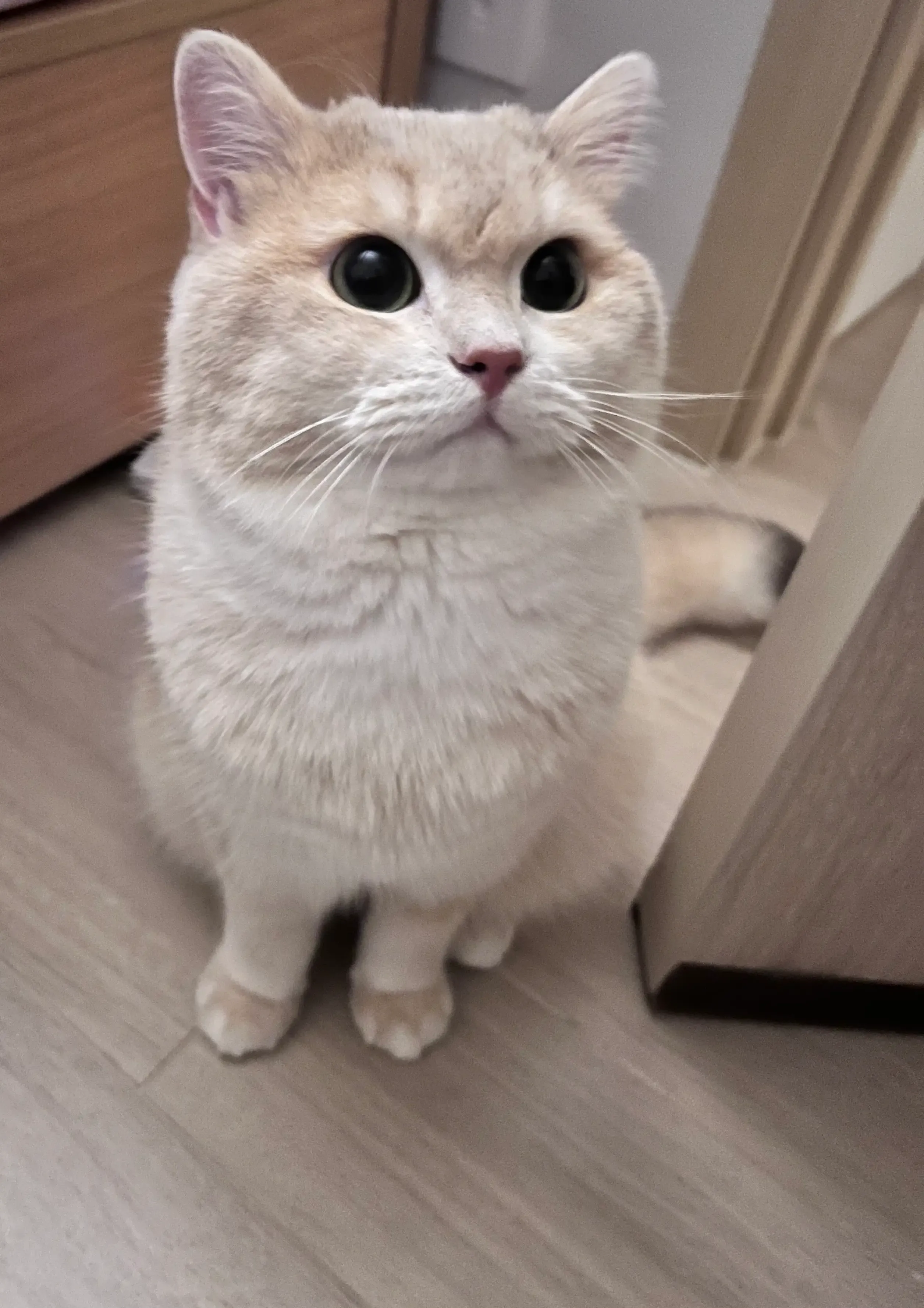 圖片來源:LIHKG討論區