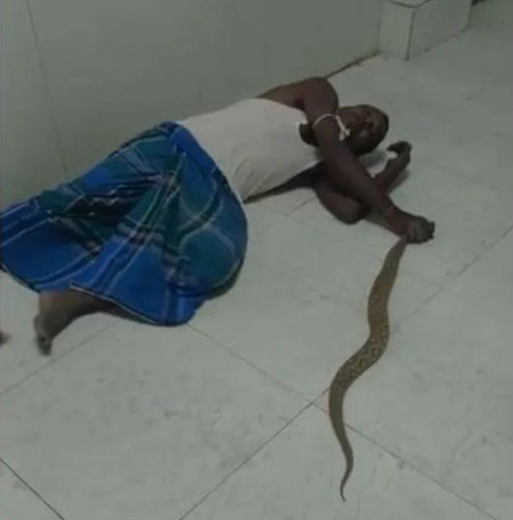 男子被蛇咬後毒發,快要昏倒仍緊緊捉住蛇口。(互聯網)