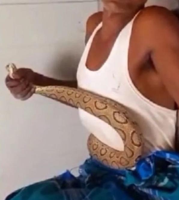 男子被毒蛇纏著腰部,緊緊捉住蛇口。(互聯網)