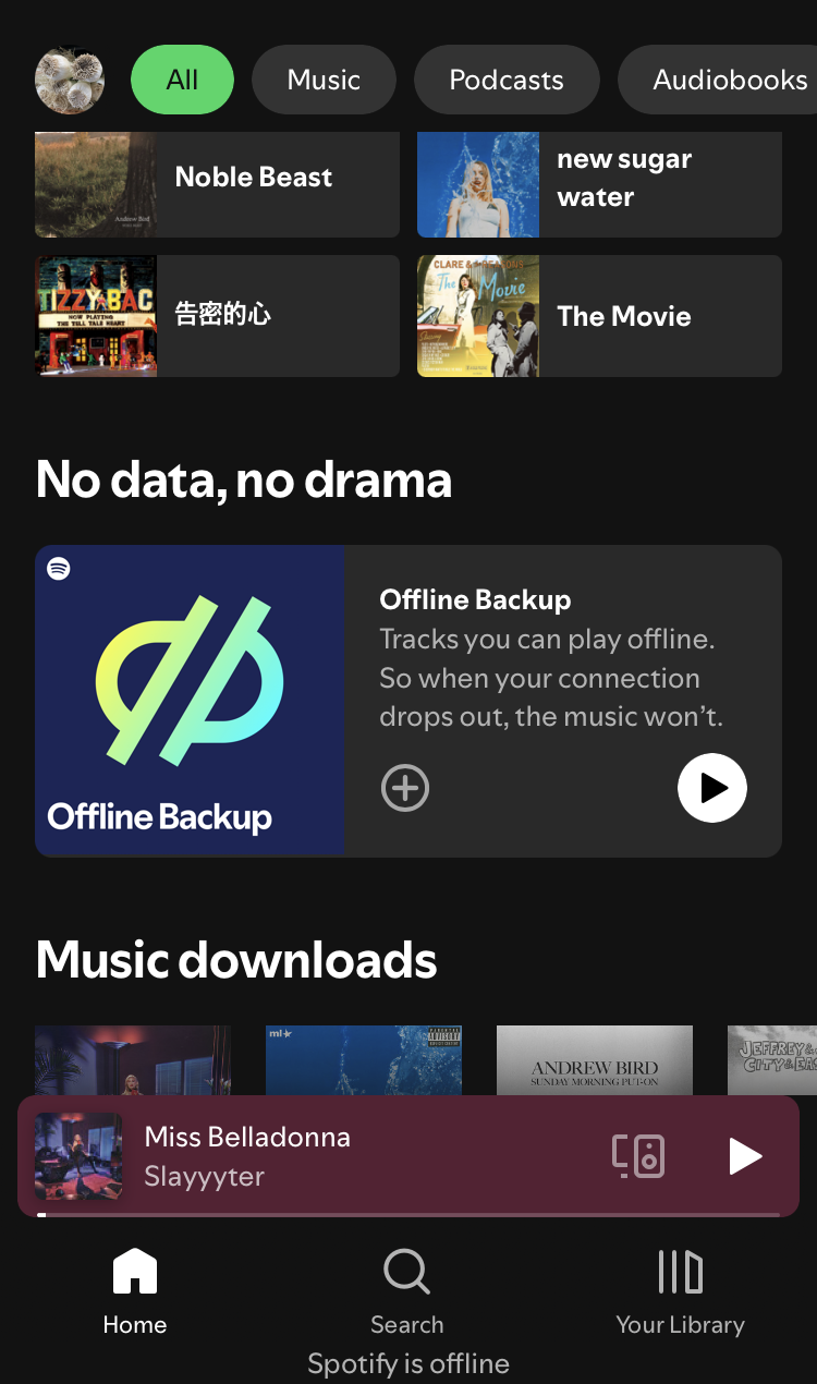 Spotify離線備份會在主頁中出現。