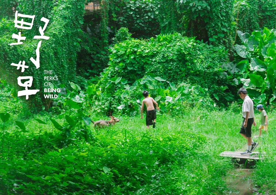 《野草》海報。