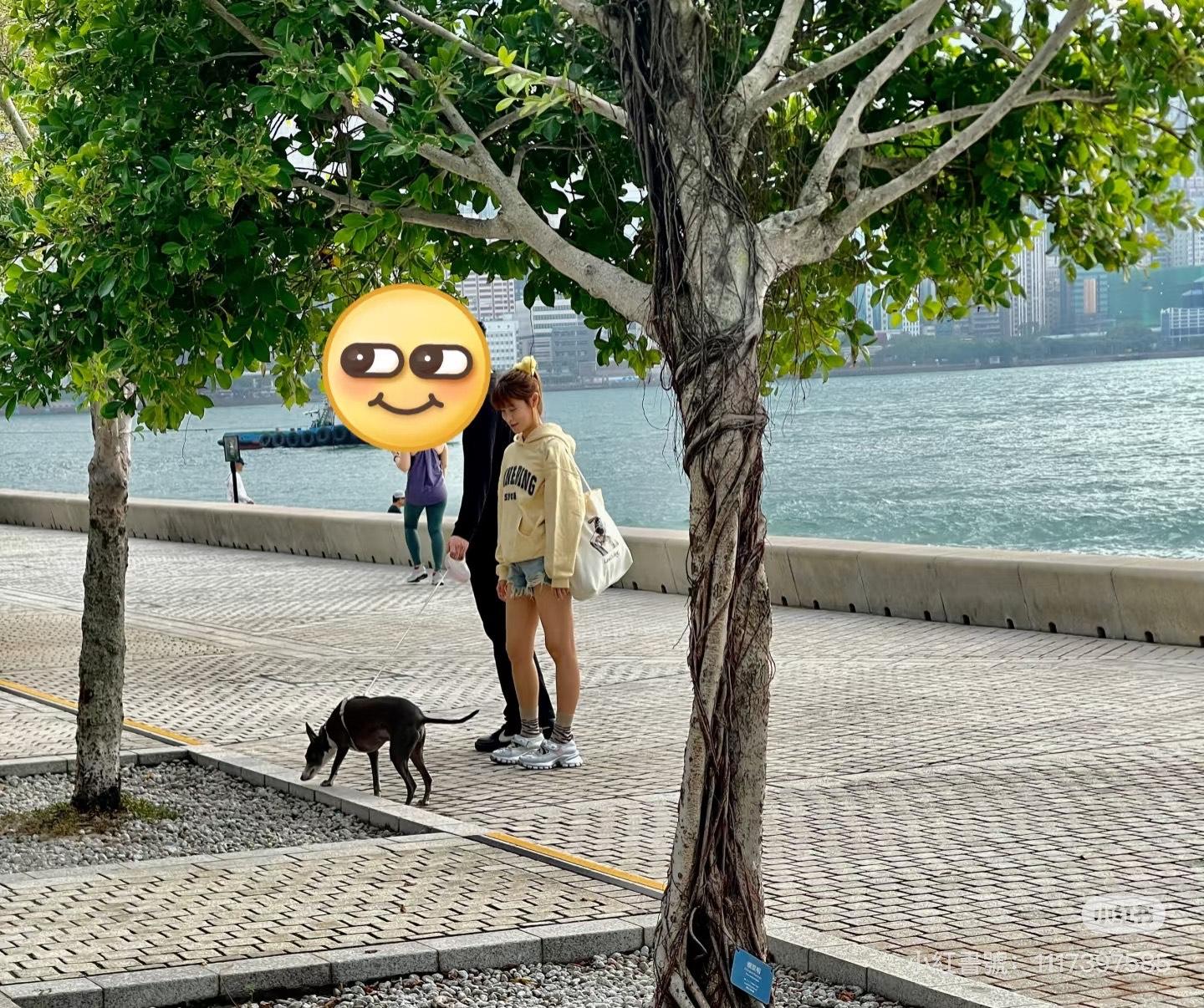 古佩玲被捕獲與高大男放狗 。