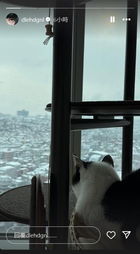 李東輝又上載一張貓貓望雪景的照片。
