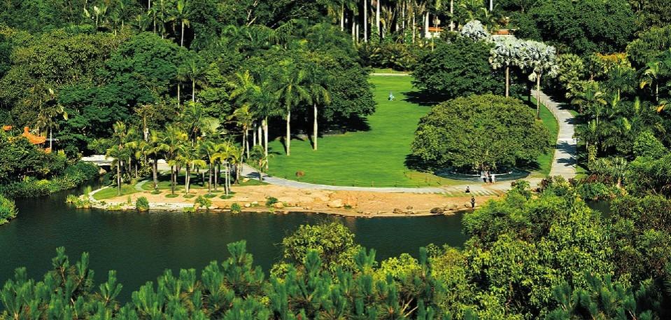 有別於其他近海濕地,仙湖植物園坐落在深圳市最高峰梧桐山(海拔944公尺)的西北山麓,西臨深圳水庫,吸引不少森林雀鳥到來棲息,是一個林鳥天堂。(圖片來源:仙湖植物園公眾號)