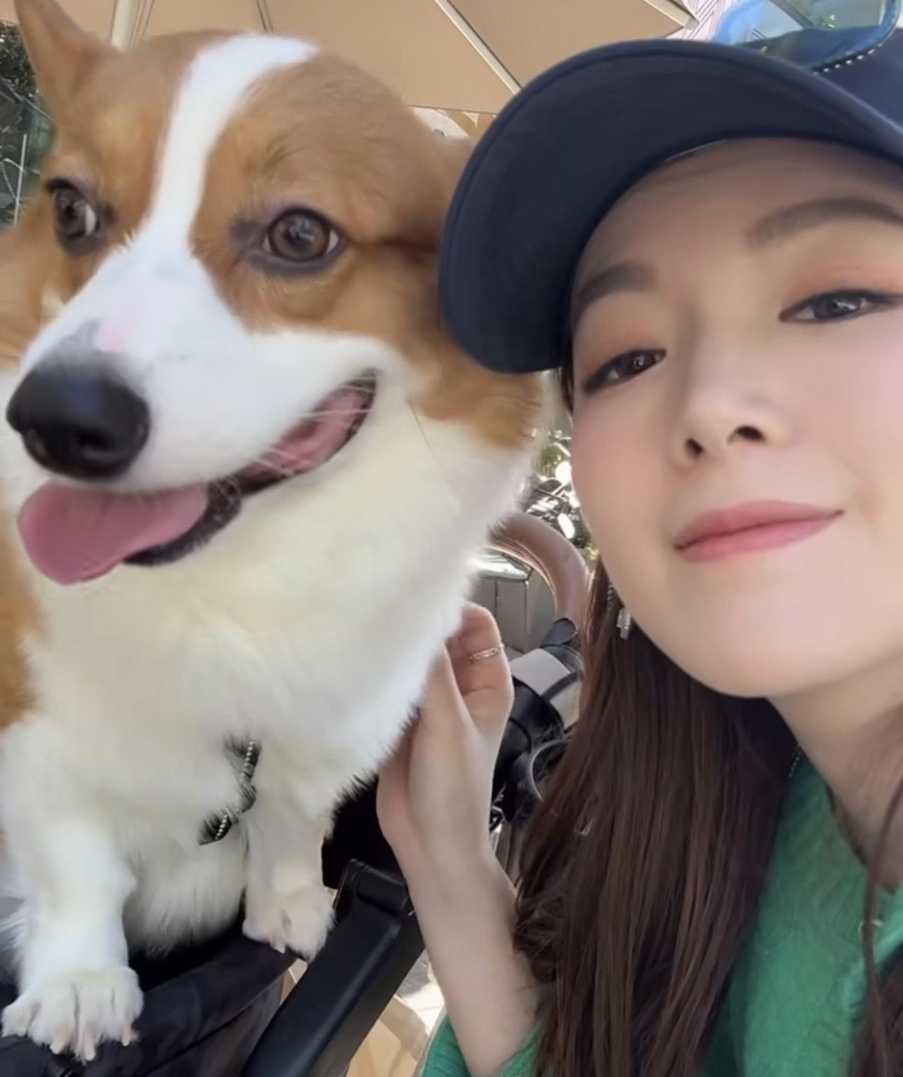 苟姑娘在昨午分享帶兩隻愛犬去食lunch 的短片。