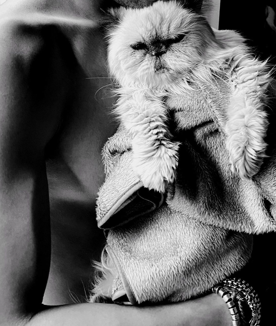 麥浚龍透過社交網來抒發對離世貓貓之情。