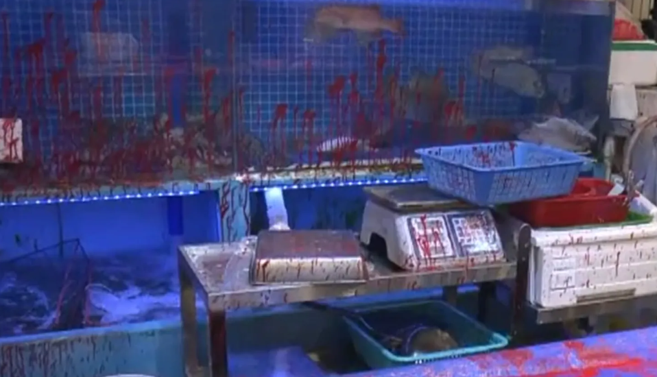 香港仔街市兩間海鮮檔被人淋紅油,檔主指曾收到電話恐嚇(now新聞台截圖)