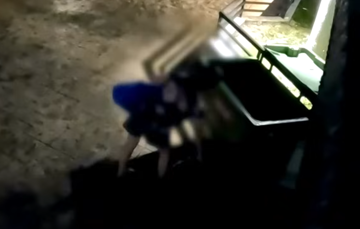 攝製隊發現大窩口邨商場的爭鮮店每晚打烊前,職員會將當天賣不完的壽司及刺身直接放入垃圾袋,然後將其扔進商場平台垃圾桶,「刺身姐」就每晚在垃圾桶中「尋寶」。(東張西望截圖)