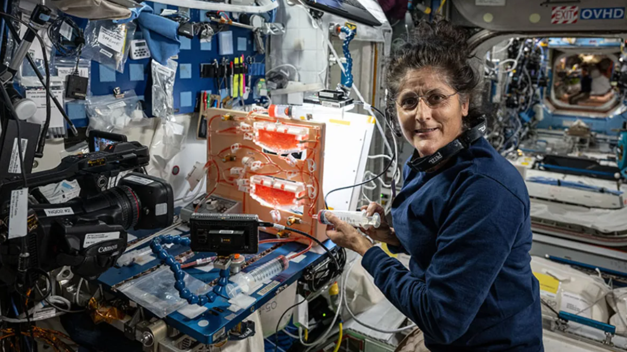 威廉斯較早前的照片。(互聯網)