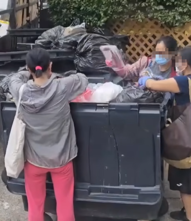 港島一個垃圾站,有三名外籍女子摷一個大型垃圾箱,從中擸走大批「過期肉」滿載而歸,拍片的目擊者猜測她們是外傭,稱:「唔係咁X樣買餸呀嘛?」。facebook群組「聘請工人姐姐關注組」