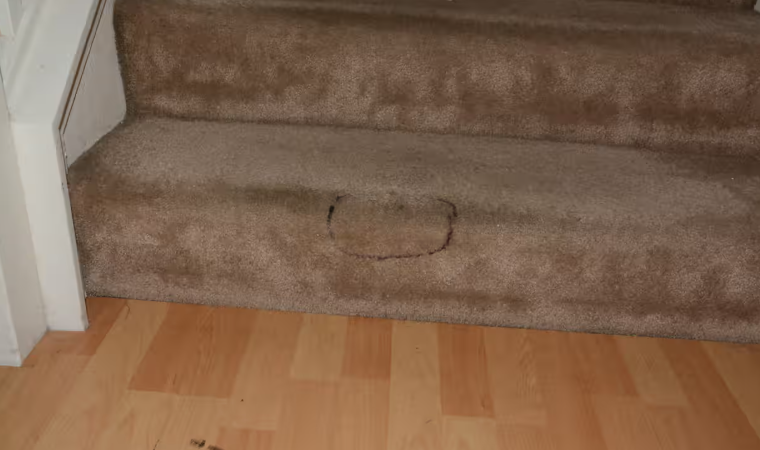 佩雷斯家中樓梯一處污漬,被探員指是血跡。(互聯網)