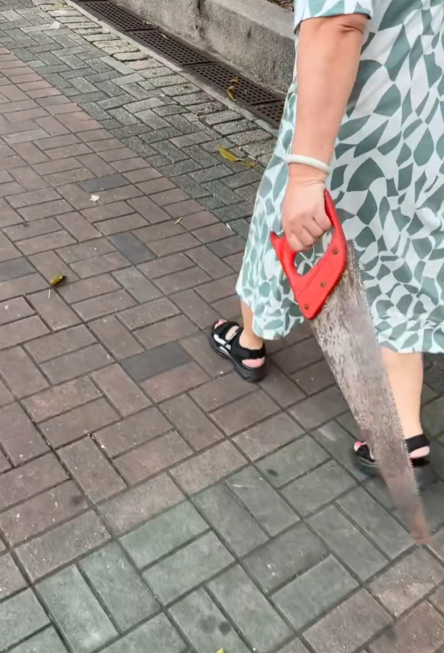 有網民日前上載一段影片,拍到一名大媽在街頭手持鋸刀行走(Threads)