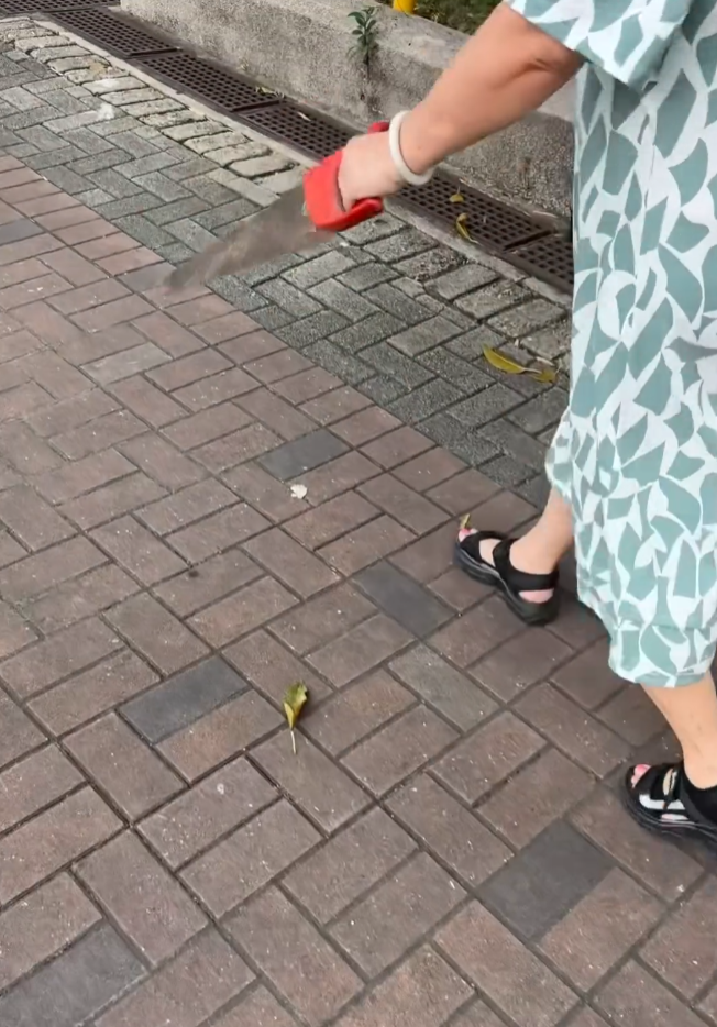 有網民日前上載一段影片,拍到一名大媽在街頭手持鋸刀行走(Threads)