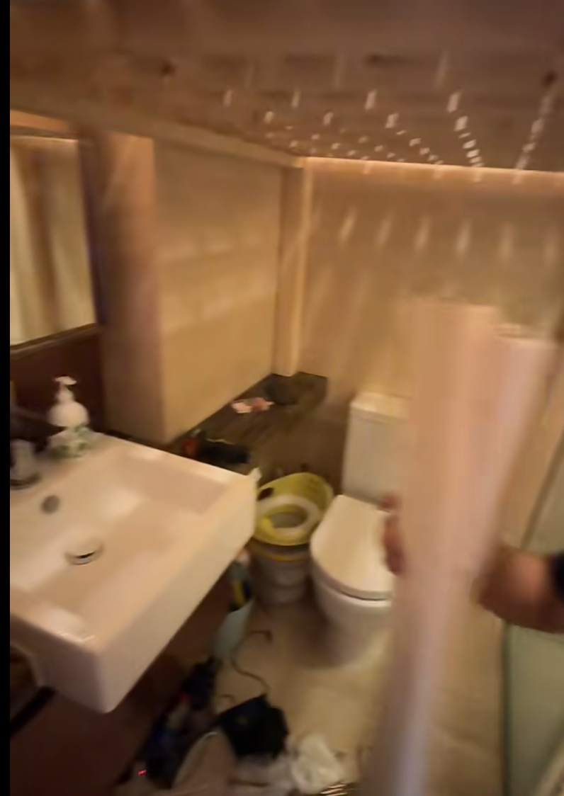 下方仍是保留了原來的馬桶、洗手盆和「乾濕分離」淋浴間。(小紅書)