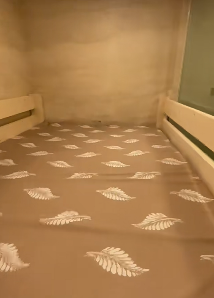 社交平台小紅書近日流傳一段影片,可見有裝修公司為香港單位「空間大改造」,把32呎廁所加建碌架床。(小紅書)