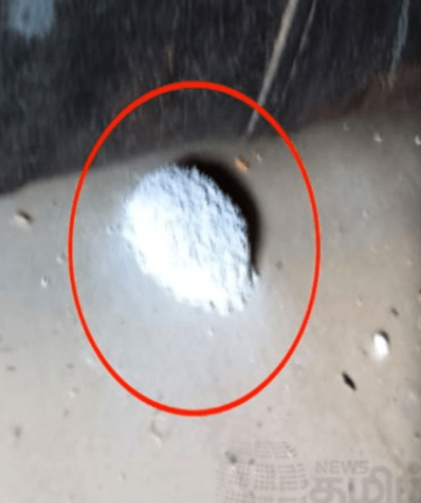 警方在屋內多處發現滅鼠粉。(互聯網)