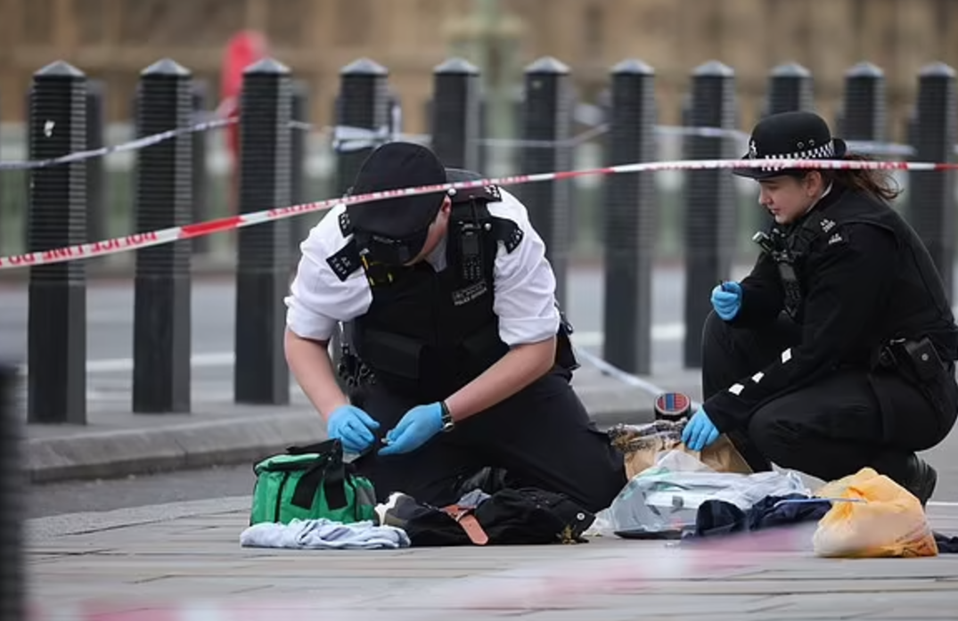 案發在遊客必到的西敏橋。(互聯網)