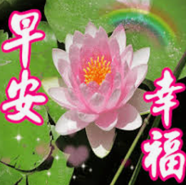 各種「長輩圖」。(互聯網)