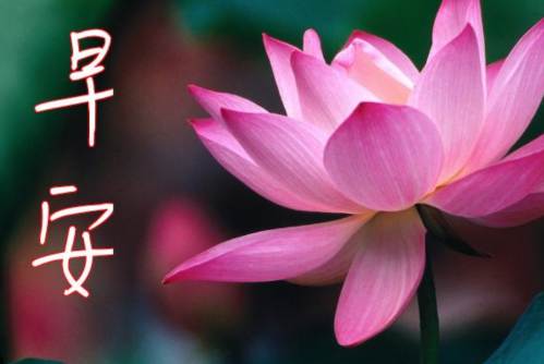 各種「長輩圖」。(互聯網)