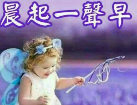 各種「長輩圖」。(互聯網)