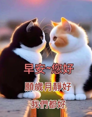 各種「長輩圖」。(互聯網)