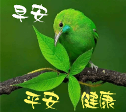 各種「長輩圖」。(互聯網)