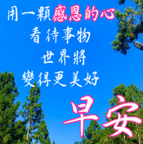 各種「長輩圖」。(互聯網)