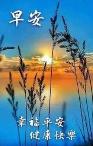 各種「長輩圖」。(互聯網)