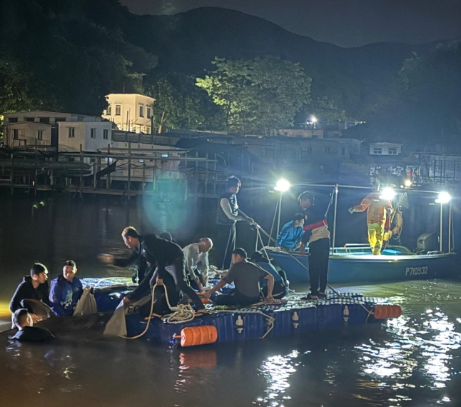 大澳有鯨魚擱淺(生於大澳 長於大澳FB)